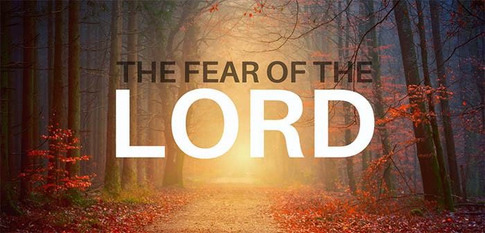 Fear The Lord