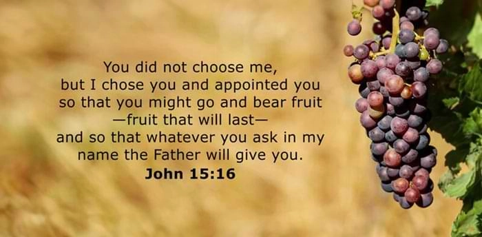 God Has Chosen