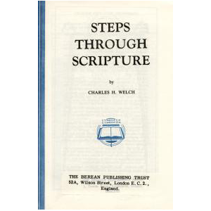 Steps Through Scripture in PDF