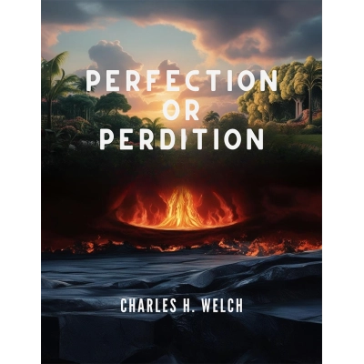 perfection_or_perdition
