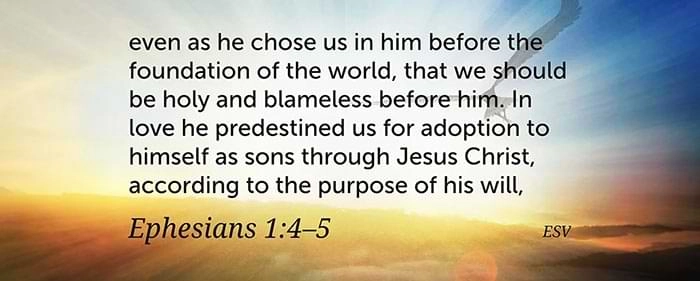 Predestined