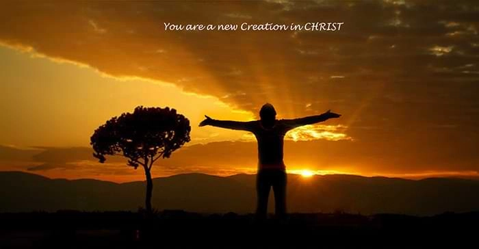 New Creation
